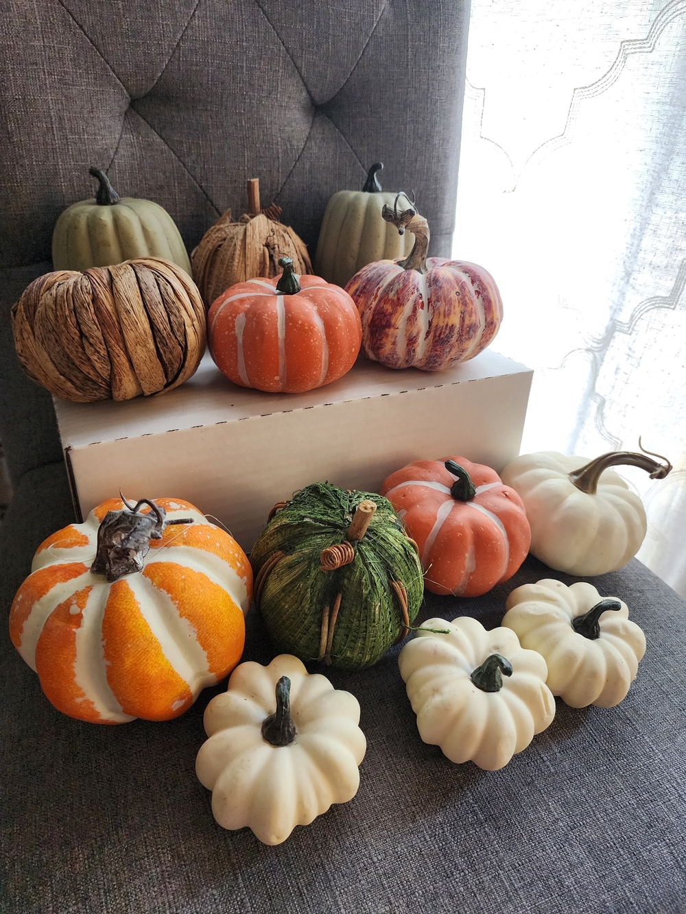 Assorted Mini Pumpkins - Picture 5 of 11